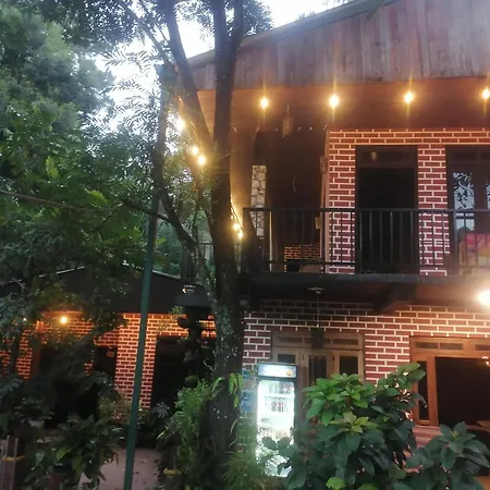 Summer Villa-2